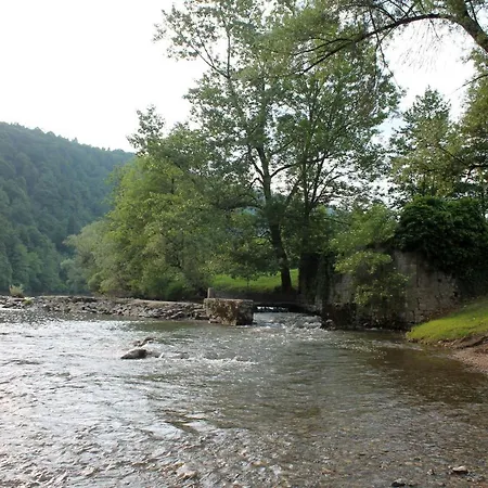 Vineyard Kolpa Zupancic *