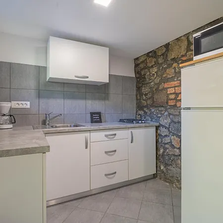 Vineyard Kolpa Zupancic 公寓 *