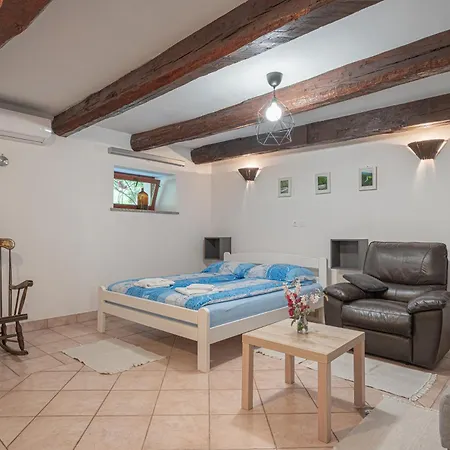 Apartamento Vineyard Kolpa Zupancic *