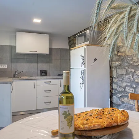 公寓 Vineyard Kolpa Zupancic Stari Trg ob Kolpi