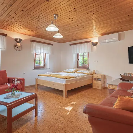 Vineyard Kolpa Zupancic