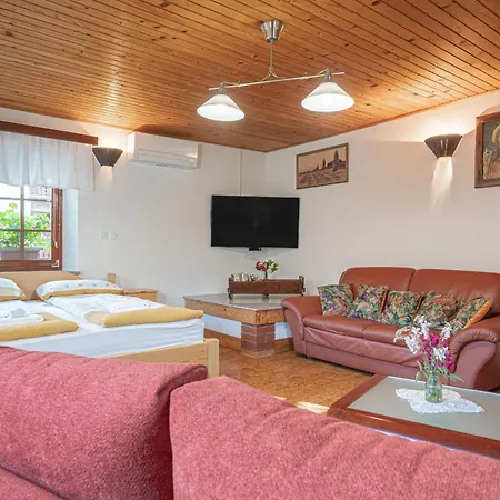 Vineyard Kolpa Zupancic 公寓 *