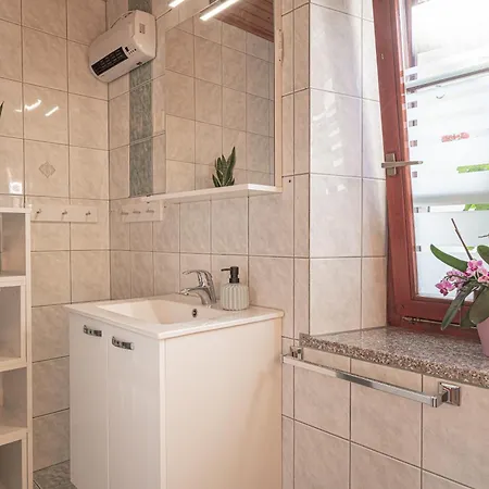 Vineyard Kolpa Zupancic