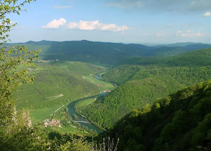Vineyard Kolpa Zupancic *