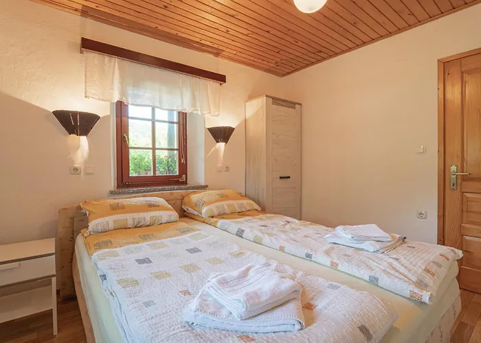 Vineyard Kolpa Zupancic *