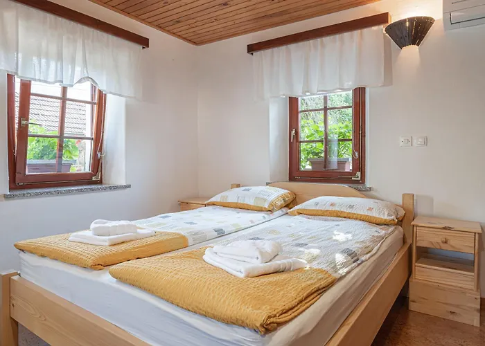 Vineyard Kolpa Zupancic Διαμέρισμα